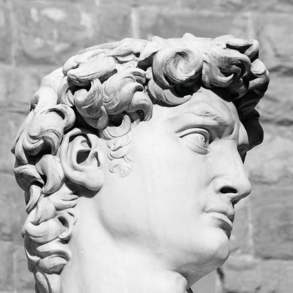 black and white profile of famous statue of David by Michelangelo, Florence,Tuscany, Italy, Europe